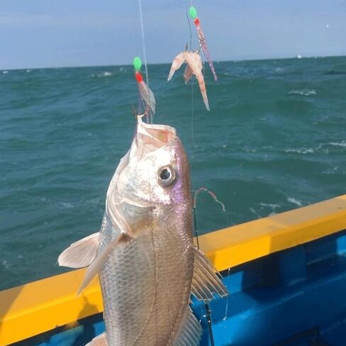 36 PCS Luminous Fishing Rigs Fishing,Sabiki Rigs Sabiki, Fishing Lures Bait Rigs,Fishing Rigs with Sharp Hooks Saltwater String Hook, for Freshwater Saltwater Fishing Lures Bait Rig Tackle in Saudi Arabia