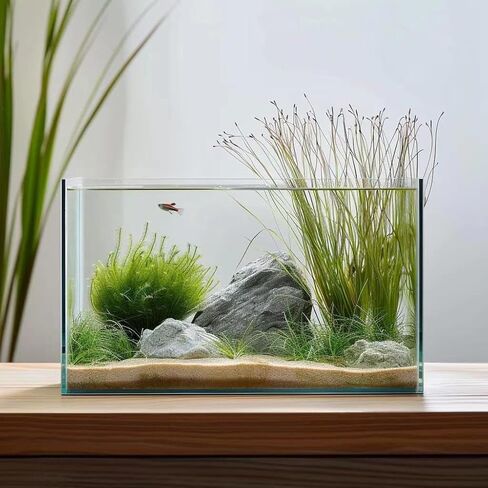 3 Gallon Glass Fish Tank, Easy to Maintain Small Aquarium for Betta/Goldfish/Snails/Shrimp and Aquatic Planting. in Kuwait