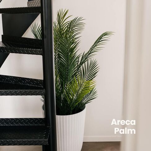 نبات نخيل الأريكا من Naturae Decor - نبات منزلي صناعي داخلي وخارجي نابض بالحياة - مقاوم للأشعة فوق البنفسجية بارتفاع 47 بوصة in Kuwait