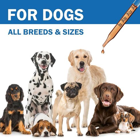 Cough Treatment for Dogs - Relives Sore Throat, Dry & Wet Cough in Dogs - Trachea Collapse and Respiratory Support - Immune Supplement for Dogs - Natural Herbal Remedy 2 oz in Saudi Arabia