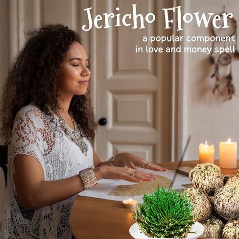 17 Pack Rose of Jericho Dried Plants - Dried Fern Like Scale Leaf Prayer Plants for Spiritual Purification, Home Decor, Vase Filler, ldeal Present for Plant Lovers in Saudi Arabia