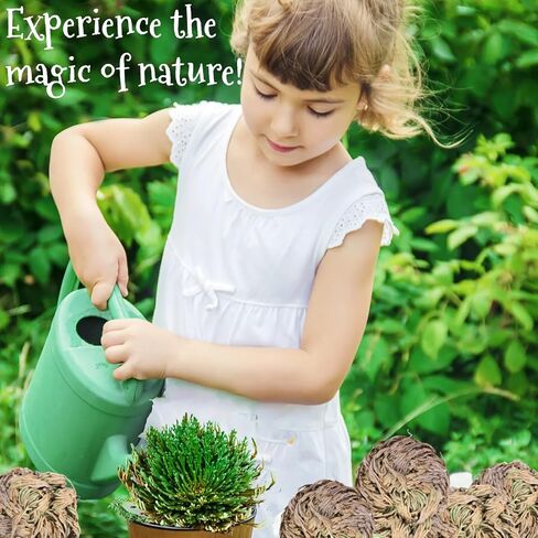 17 Pack Rose of Jericho Dried Plants - Dried Fern Like Scale Leaf Prayer Plants for Spiritual Purification, Home Decor, Vase Filler, ldeal Present for Plant Lovers in Saudi Arabia