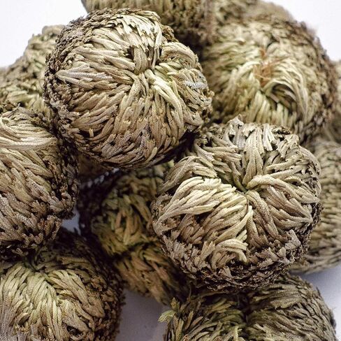 17 Pack Rose of Jericho Dried Plants - Dried Fern Like Scale Leaf Prayer Plants for Spiritual Purification, Home Decor, Vase Filler, ldeal Present for Plant Lovers in Saudi Arabia