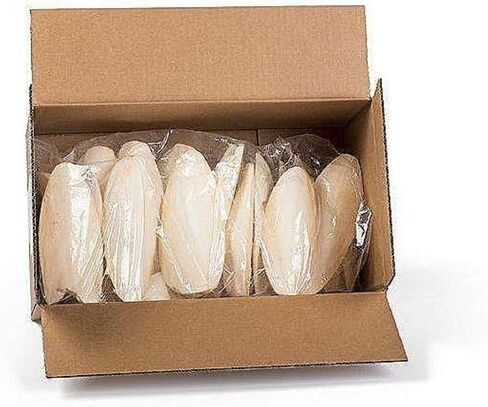 Cuttlebone Bulk 25 Count, Medium: 4 - 6 inches, for Birds, Tortoises in Kuwait