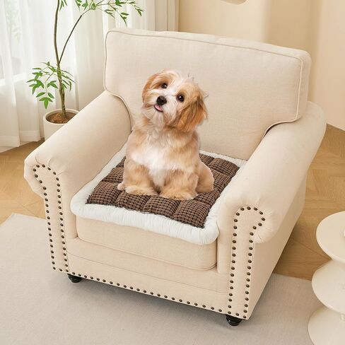 Couch Covers for Dogs Washable,Thick Sofa Pads,Checkered Couch Cover Sofa Protector, Anti-Slip Fun Fuzzy Pet Friendly Sofa Cover, Dog Bed Mat for Couch,(Dark Grey,27.5x59 inch) in Kuwait