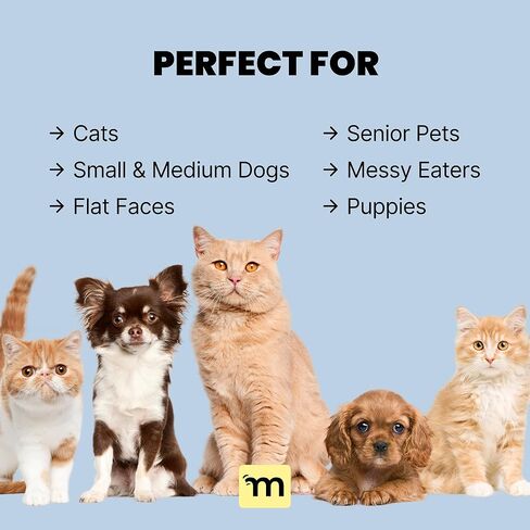 مجموعة أطباق مرتفعة للقطط والكلاب من Malsipree مع حامل - أوعية للكلاب مرتفعة من السيراميك للقطط والكلاب الصغيرة والمتوسطة - مع واقي من الرذاذ - حامل وعاء مرتفع للكلاب مقاس 4 بوصات (بيج رملي) in Kuwait