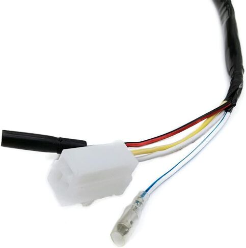Magneto Stator Dual Ignition 4 wires AC 8 Poles for GY6 Engine 50cc 80cc 100cc Scooter Moped ATV Sunl Roketa Dune Buggy Go Kart TaoTao Buyang Coolsport Kazuma Sunl NST in Saudi Arabia