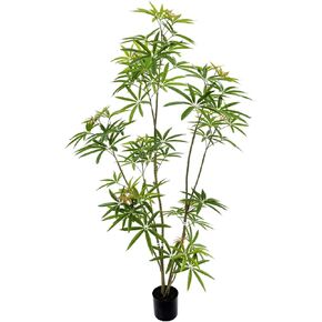 5ft Artificial Bonsai Tree - Large Faux Plants Indoor with Ceramic Pot, Realistic Fake Plants Decor for Home Office, Living Room, Farmhouse Zen Decor in Kuwait