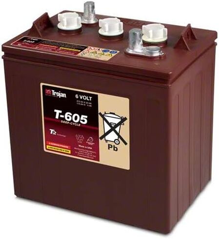 طروادة T-605 6V 210AH غمرت حمض الرصاص GC2 بطارية الدورة العميقة X6 in Saudi Arabia