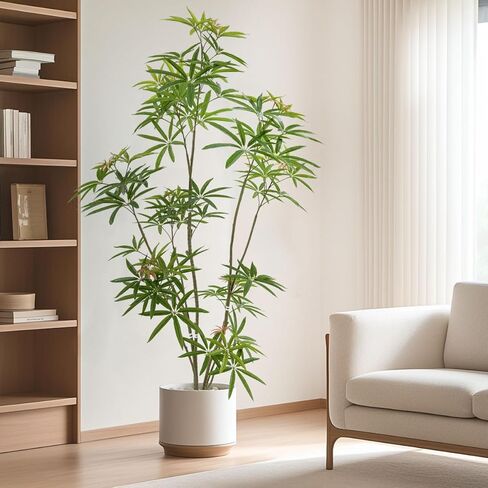 5ft Artificial Bonsai Tree - Large Faux Plants Indoor with Ceramic Pot, Realistic Fake Plants Decor for Home Office, Living Room, Farmhouse Zen Decor in Kuwait