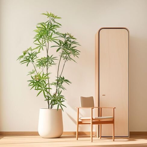 5ft Artificial Bonsai Tree - Large Faux Plants Indoor with Ceramic Pot, Realistic Fake Plants Decor for Home Office, Living Room, Farmhouse Zen Decor in Kuwait