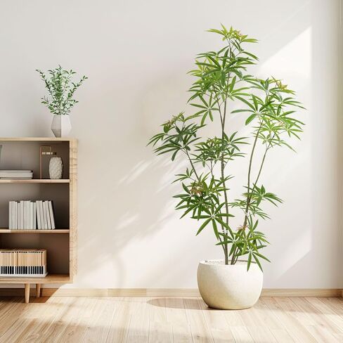 5ft Artificial Bonsai Tree - Large Faux Plants Indoor with Ceramic Pot, Realistic Fake Plants Decor for Home Office, Living Room, Farmhouse Zen Decor in Kuwait