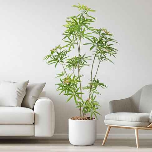 5ft Artificial Bonsai Tree - Large Faux Plants Indoor with Ceramic Pot, Realistic Fake Plants Decor for Home Office, Living Room, Farmhouse Zen Decor in Kuwait