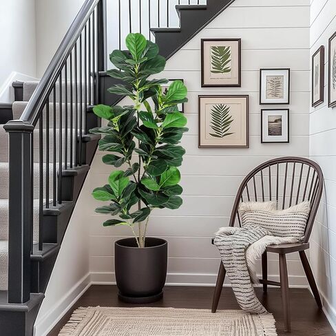 6FT Fiddle Leaf Fig Artificial Tree Faux Floor Plant with Black Planter Pot, Potted Fake Fiddle Leaf Fig Tree for Indoor Outdoor Home Office Decor in Saudi Arabia