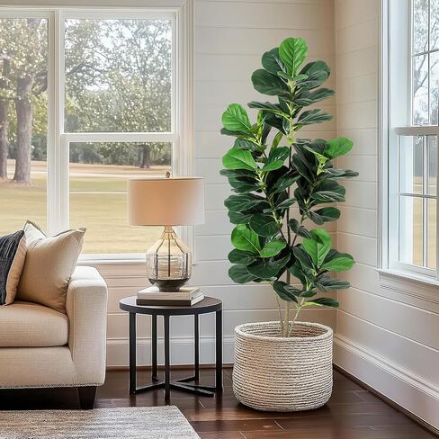 6FT Fiddle Leaf Fig Artificial Tree Faux Floor Plant with Black Planter Pot, Potted Fake Fiddle Leaf Fig Tree for Indoor Outdoor Home Office Decor in Saudi Arabia