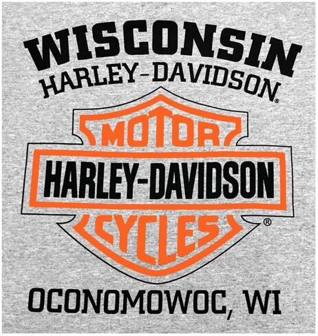 Harley-Davidson Men Swinshirt Stacket H-D Skull Hoodie Gray 30296653 in Saudi Arabia