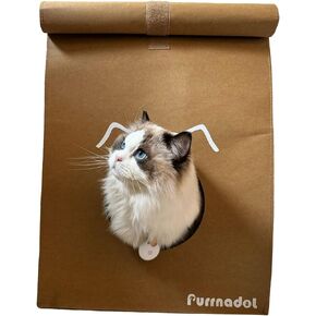 Cat House Purrnadol with Cat Scratcher Inside, Durable Cat Condo with Large Cat Bed