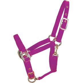 Hamilton 3/4-Inch Adjustable Chin Foal Halter with Snap (100 to 200 Pounds), Berry