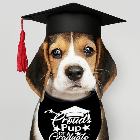 عبوتان من باندانا التخرج للكلاب والقطط، فخورة بأمي التخرج للكلاب الصغيرة والمتوسطة والكبيرة والحيوانات الأليفة والجراء (فخور بالجرو، كبير) in Kuwait