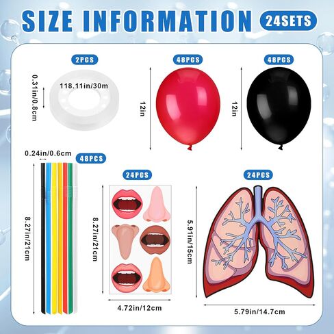 24 Sets Lung Model Respiratory System Model Toys for Back to School Science Classroom Study Display Teaching Biologic Anatomy and Lung Learning Homeschool Preschool Early Childhood Teaching Aid in Saudi Arabia
