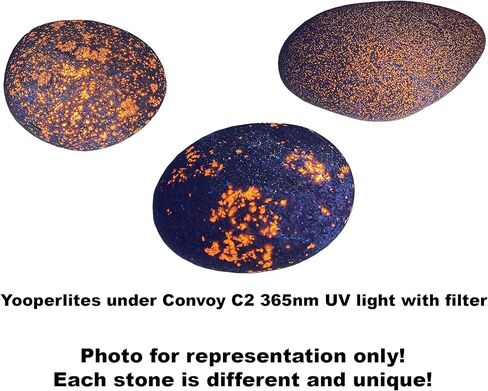 Yooperlite Authentic Glow Stone from Michigans Upper Peninsula RAW Not Tumbled or Polished (12 oz Pebbles) in Kuwait