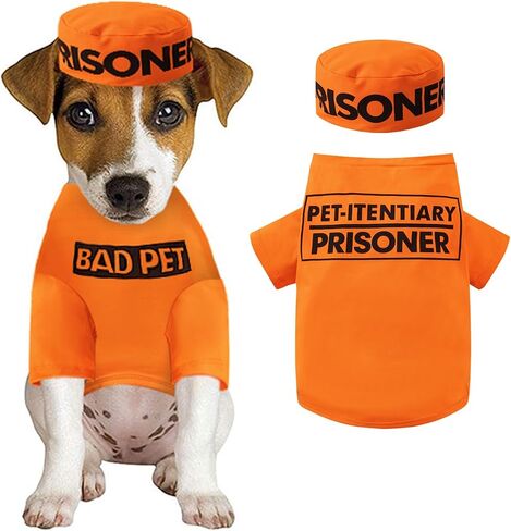 Prisoner Pet Costume Prison Pooch Funny Prisoner Halloween Costume for Small Dogs Cats (2X-Large) in Kuwait