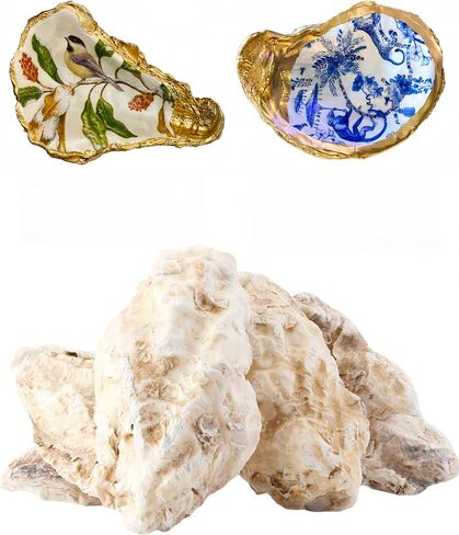 30Pcs Oyster Shells for Crafts， 4"-5" Large Oyster Shell for Crafts，Oyster Shells for Christmas 、Painting、 Beach Themes、 Wedding, Home Shells for Decoration and Sea Shells for Crafting in Saudi Arabia