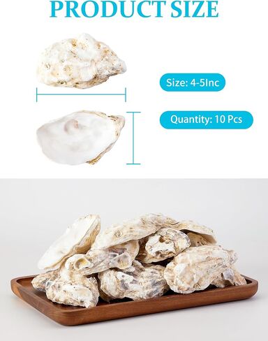 30Pcs Oyster Shells for Crafts， 4"-5" Large Oyster Shell for Crafts，Oyster Shells for Christmas 、Painting、 Beach Themes、 Wedding, Home Shells for Decoration and Sea Shells for Crafting in Saudi Arabia