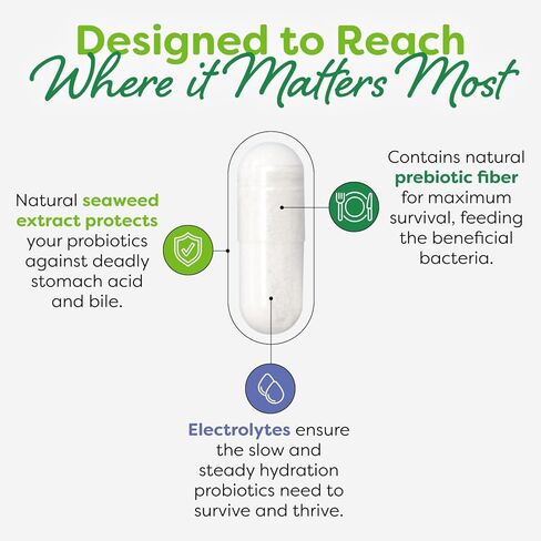 بروبيوتيك للمرأة ، كبسولات مكملات صحية مهبلية وأمعاء ومكملات من المناعة ، 20 مليار وحدة تقليدية ، 12 سلالة بروبيوتيك ، نباتي ، 30 زجاجة. in Kuwait