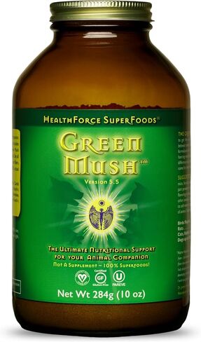 HEALTHFORCE SUPERFOODS Green Mush - 5 Oz Powder in Kuwait