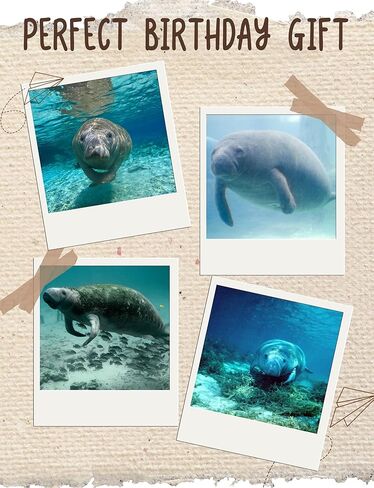 هدايا Manatee Innobeta ، والهدايا في عيد الميلاد وعيد الميلاد ، وجوارب طاقم واحدة الحجم in Saudi Arabia