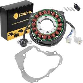 Caltric Stator and Gasket Compatible With Yamaha Virago 250 XV250 1995 1996 1997 1998 1999 2000-2007 in Saudi Arabia