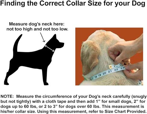 طوق كلب كلاسيكي عاكس (صغير، أخضر هنتر) in Kuwait