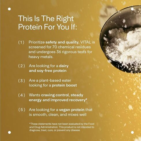 LTH Vital Vegan Protein - Plant-Based Protein Powder - Made from Pea Protein - Supports a Healthy Immune System - Dairy Free & Soy Free - Vanilla, 30 Servings in Kuwait