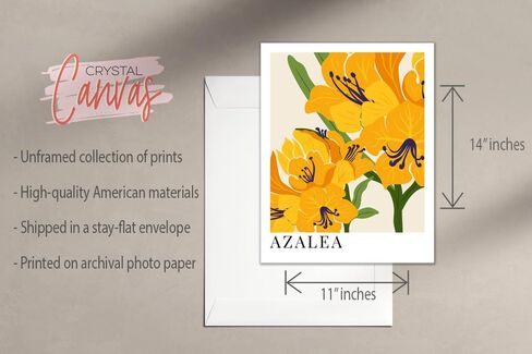 Vintage Botanica Matisse Floral Prints - Set of 3 (11x14 Inches) Cottagecore Decor, Henri Matisse Wall Art, Floral Poster, Matisse Print, Vintage Floral Poster, Aesthetic Posters Matisse in Saudi Arabia