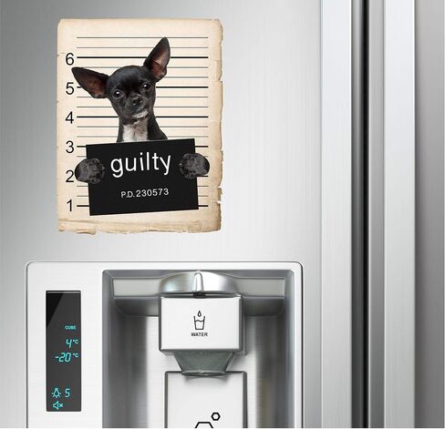 Chihuahua Dog Mugshot Bad Dog Car Car Magnet ، مغناطيسي للثلاجة ، الثلاجة الزخرفية ، المكتب ، السبورة ، المطبخ ، الديكور المقاوم للمخزلة ، العائلة والأصدقاء ، 4x7 في in Saudi Arabia