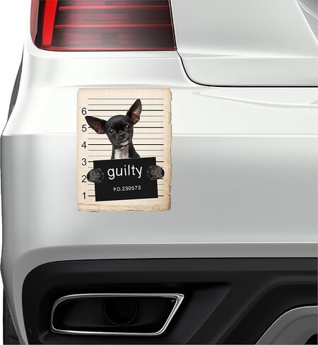 Chihuahua Dog Mugshot Bad Dog Car Car Magnet ، مغناطيسي للثلاجة ، الثلاجة الزخرفية ، المكتب ، السبورة ، المطبخ ، الديكور المقاوم للمخزلة ، العائلة والأصدقاء ، 4x7 في in Saudi Arabia