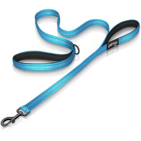 Reflective Nylon Dog Leash with Padded Double Handles, Heavy Duty Neoprene Control Handle for Training, Traffic Safety - 4 Feet, Large (1" Width), Red