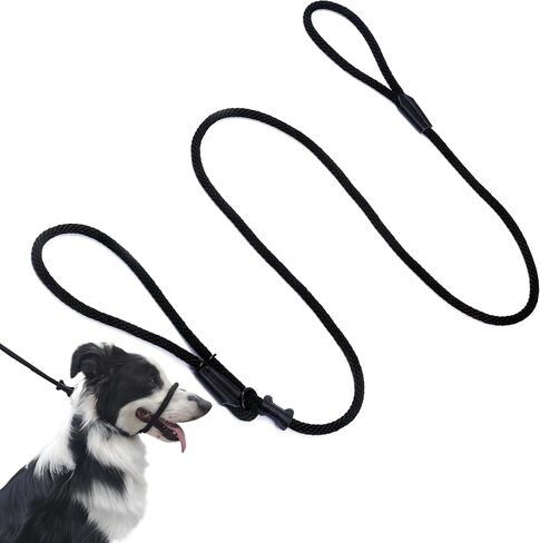Multifunctional Figure 8 Padded Head Halter Walking Training Leather Stopper Slip Lead Dog Rope Leash (Hot Pink) in Saudi Arabia