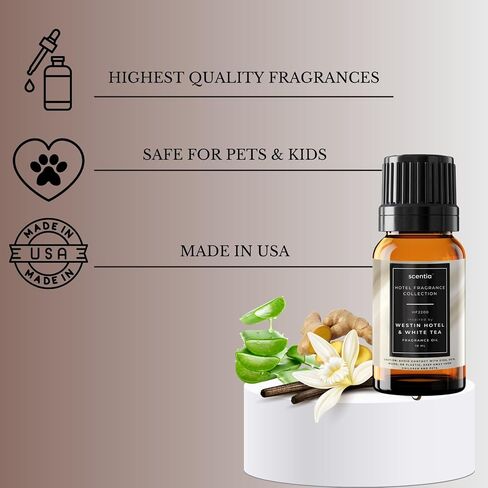 W Magic Diffuser Oil - مستوحى من W Hotel Hotel - Blend Premium Hotel Hotel Blend HF 2400 for Vultrasonic & Waterless ، صياغة - 10 مل ، 0.34 زجاجة قطارة فلوريدا in Kuwait