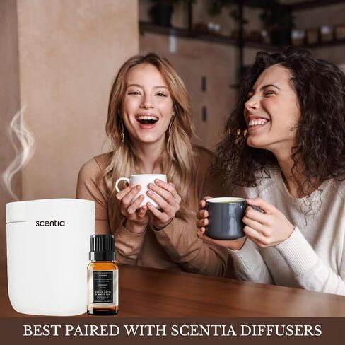 W Magic Diffuser Oil - مستوحى من W Hotel Hotel - Blend Premium Hotel Hotel Blend HF 2400 for Vultrasonic & Waterless ، صياغة - 10 مل ، 0.34 زجاجة قطارة فلوريدا in Kuwait