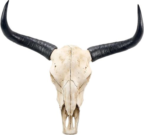 ديكور جدار جمجمة البقر ، ديكور جدار جمجمة Longhorn فو فو ، جمجمة زجرية فو ، تصنيع جدار الرأس محاكاة مصنوعة يدويًا ثورًا كبيرًا مزرعة ديكور جدار النحت 27 * 25 * 9inch in Kuwait