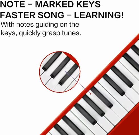 32 Keys Melodica Keyboard Instrument Air Piano Soprano Harmonica with Carrying Bag for Beginners Adults Gift Purple in Kuwait