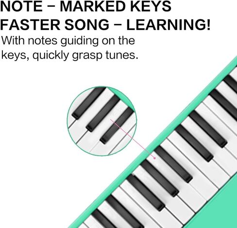 32 Keys Melodica Keyboard Instrument Air Piano Soprano Harmonica with Carrying Bag for Beginners Adults Gift Purple in Kuwait