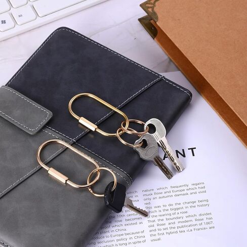 2 Pcs Brass Keychain with 3 Rings, Brass Screw Lock Keychains Gold Key Organizer Simple Key Ring Holder Universal Keychain Clip for Men and Women in Saudi Arabia
