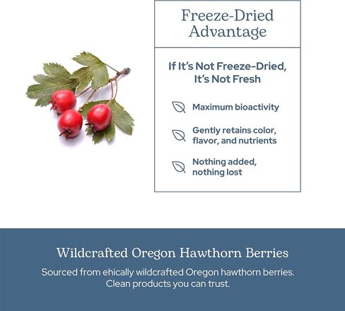 Eclectic Institute Raw Fresh Freeze-Dried Non-GMO Hawthorn Berry | Cardiovascular Support | 90 CT (500 mg) in Saudi Arabia