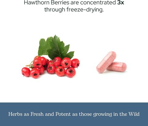 Eclectic Institute Raw Fresh Freeze-Dried Non-GMO Hawthorn Berry | Cardiovascular Support | 90 CT (500 mg) in Saudi Arabia