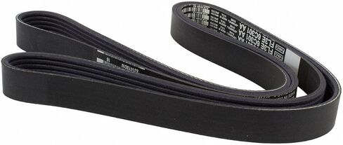 Motorcraft Drive Belt in Saudi Arabia