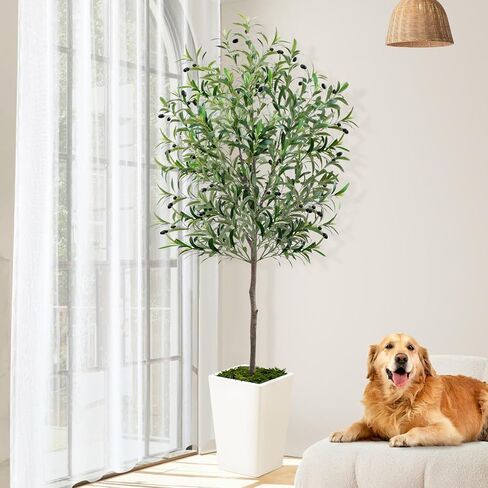 Olive Trees Artificial Indoor 6ft, Tall Faux Silk Plant with Pot, Realistic Leaves and Natural Wood Trunk Fake Trees with Lifelike Fruits for Home Office Decor Bedroom Livingroom Entryway Housewarming in Kuwait