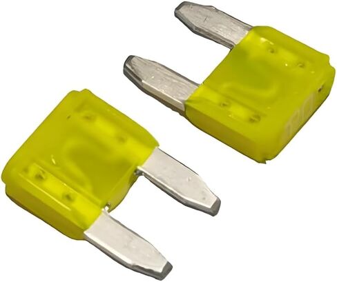 2Pcs 58V Car Automotive Blade Fuses, Universal Fuse Kit for Cars, Truck, SUV (10A) in Saudi Arabia